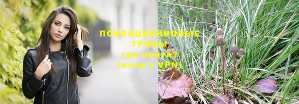 spice Краснослободск