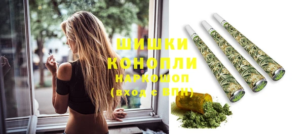 spice Краснослободск